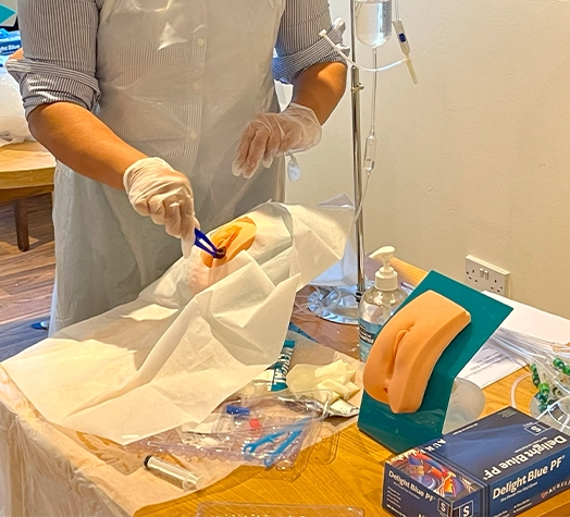 Practical Catheterisation Training